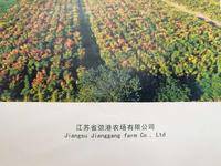 江苏省弶港农场有限公司图片