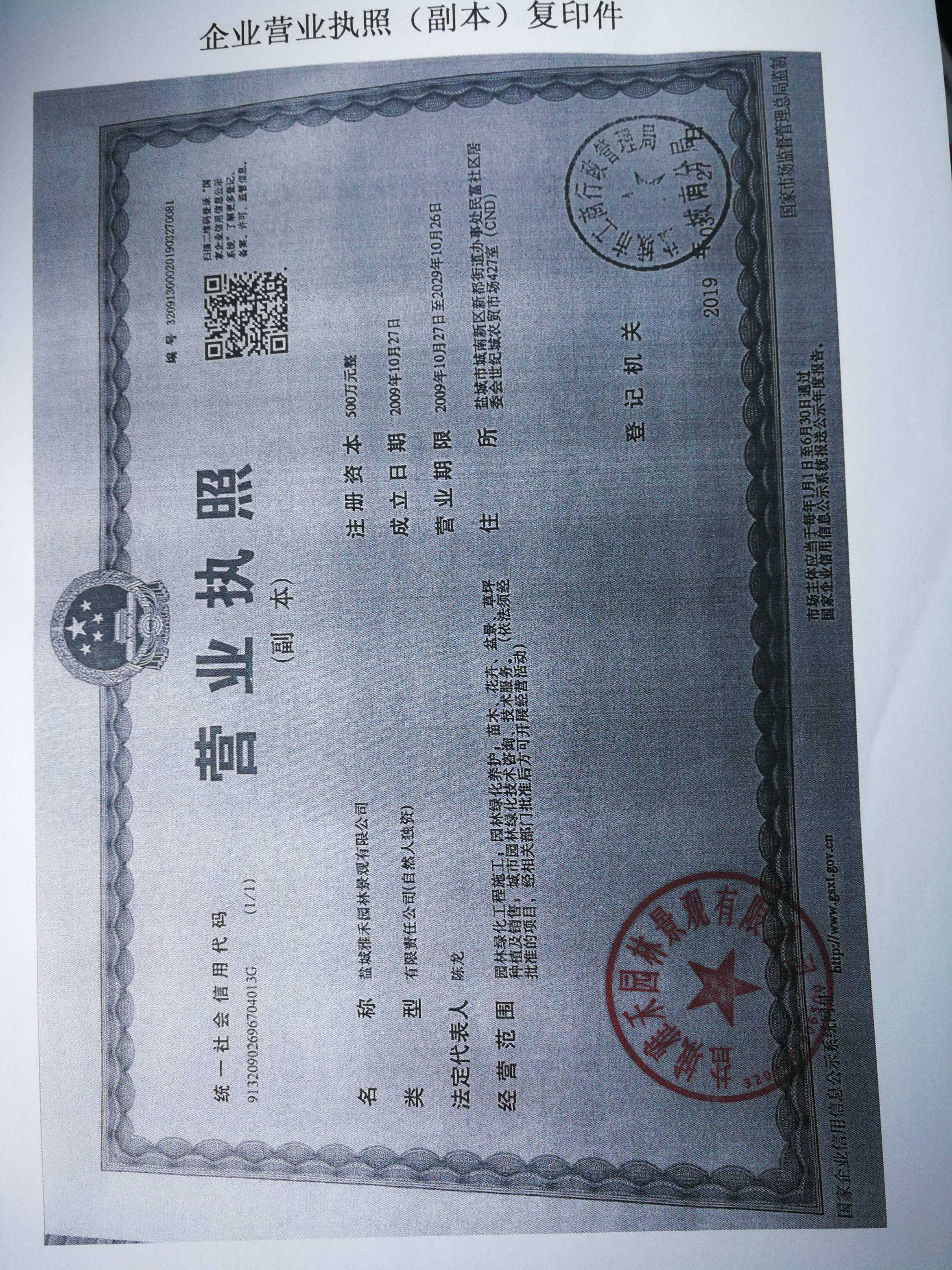 8公分香樟图片