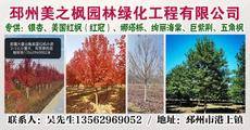 邳州美之枫园林绿化工程有限公司图片