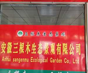 安徽三根木生态景观有限公司