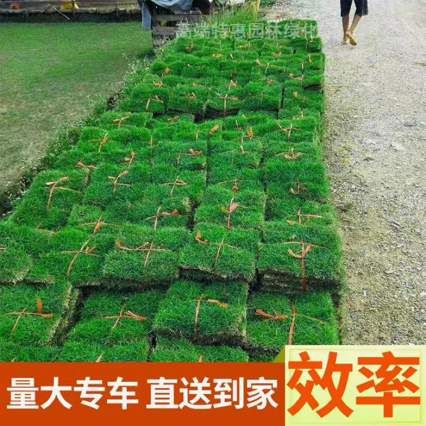 中方县湘缘诚诺园林绿化图片