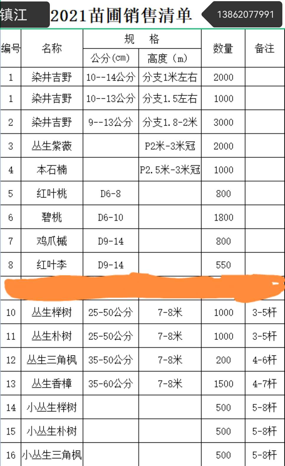 红叶碧桃图片