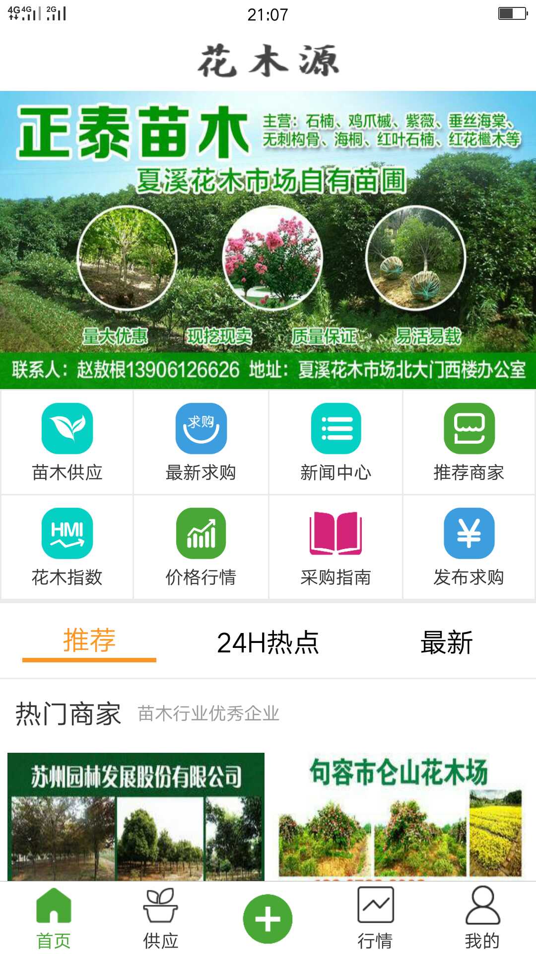 绿鑫隆苗木图片