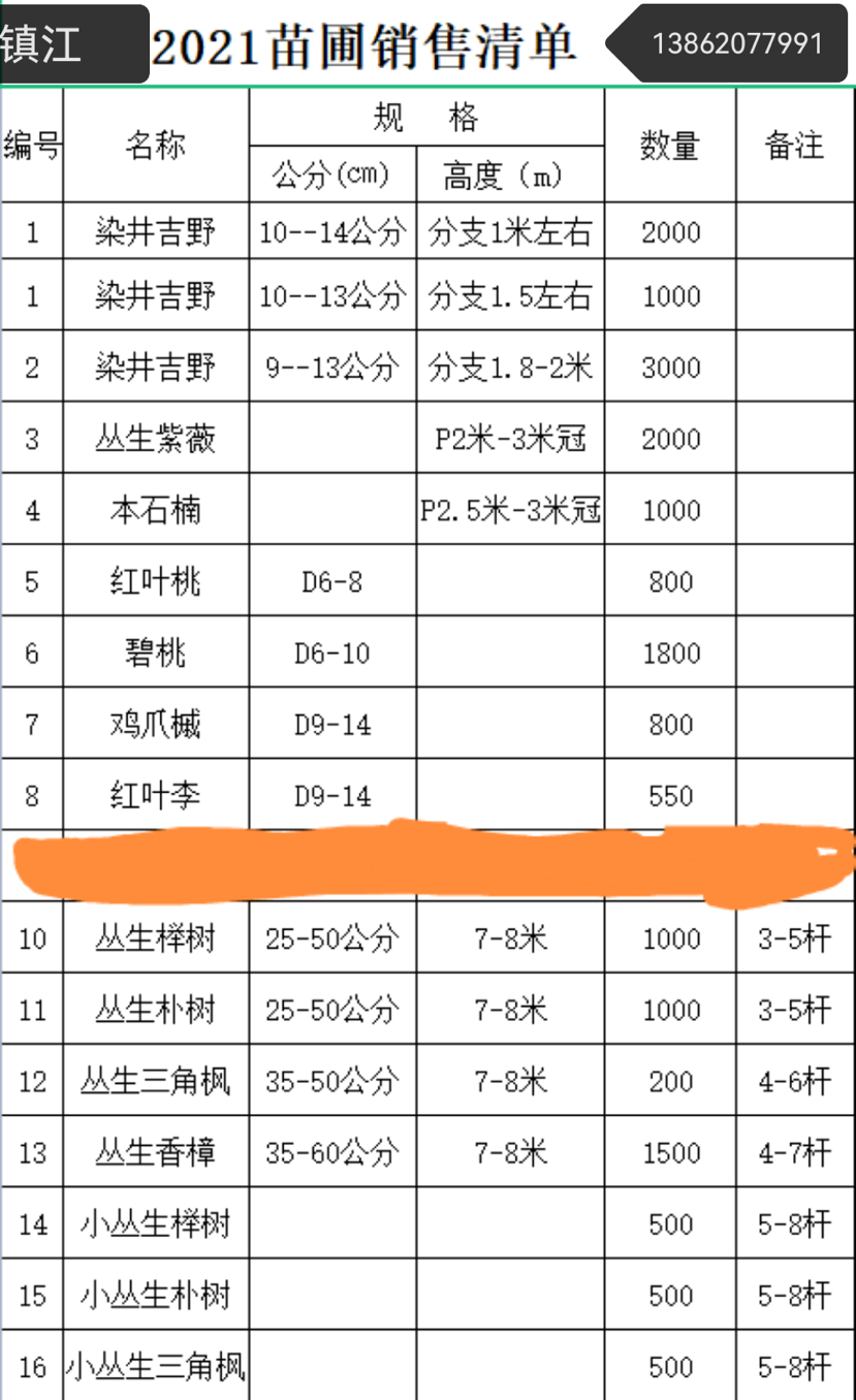 红叶桃图片