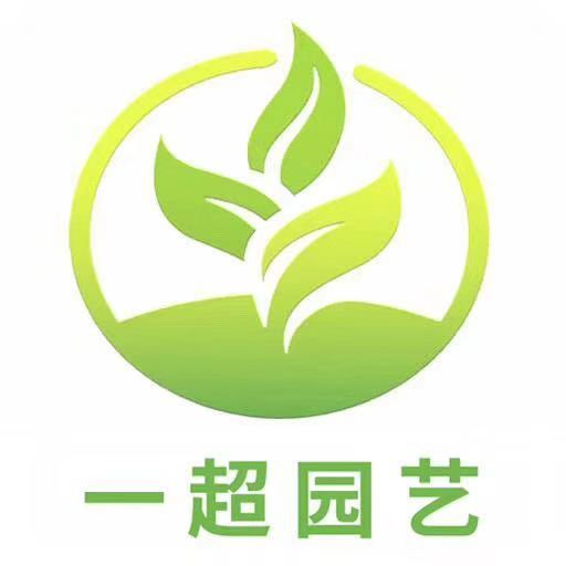 浙江安吉前山园艺场