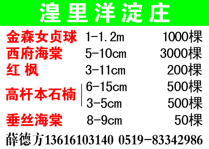 湟里洋淀庄图片