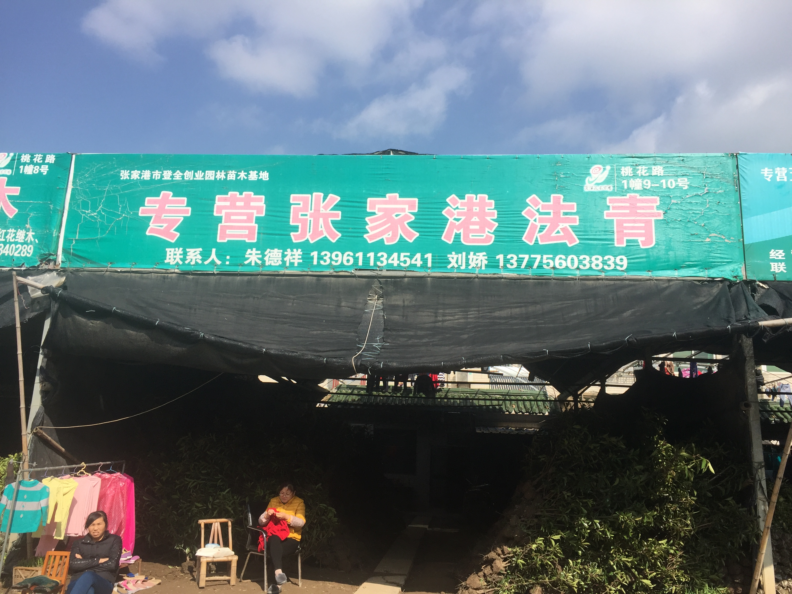 专营张家港法青图片