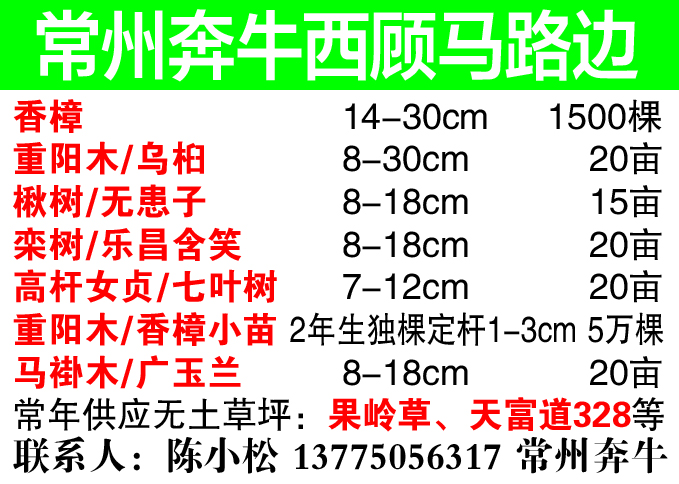 常州奔牛西顾马路边图片