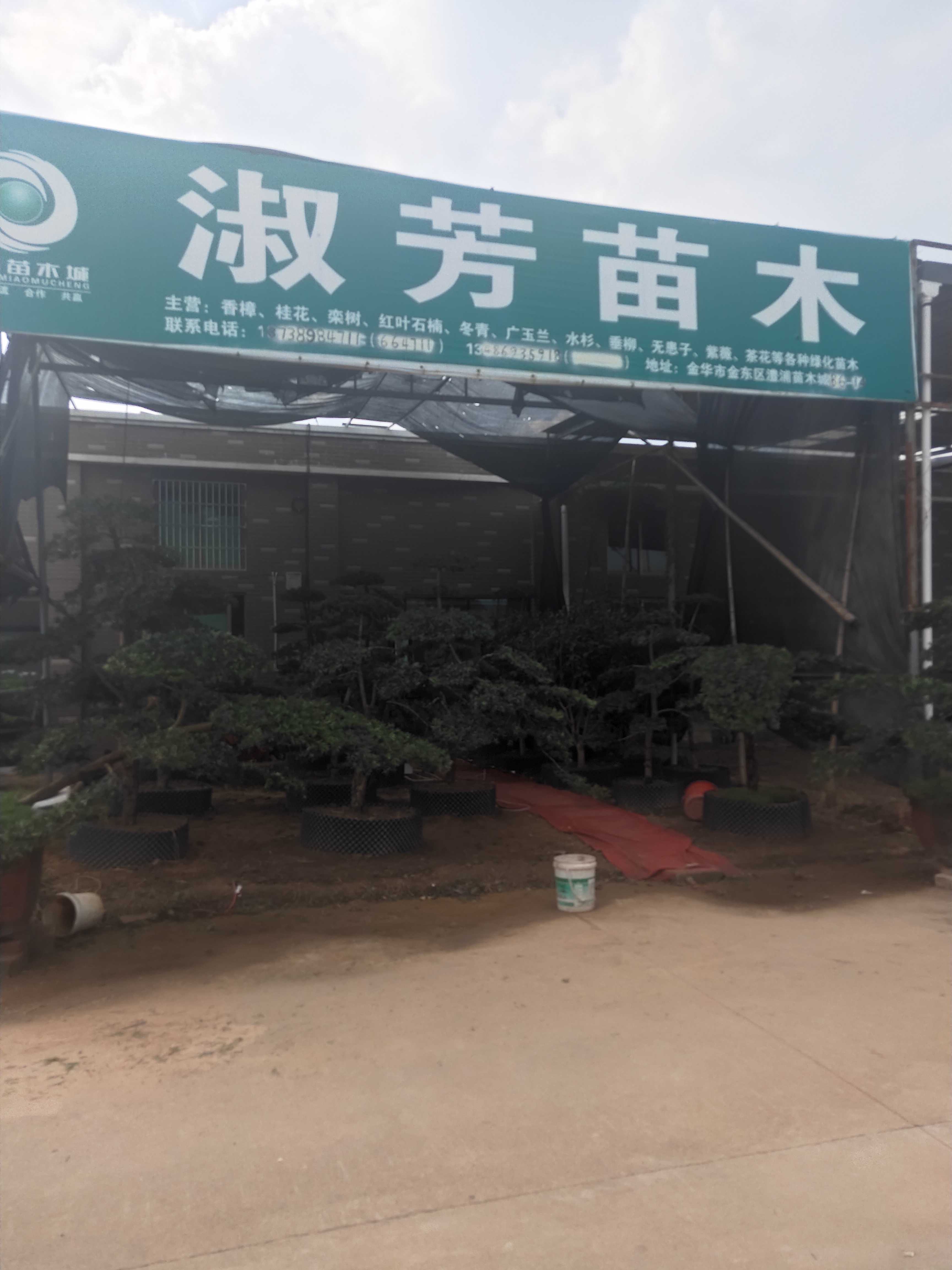 见喜苗木配送