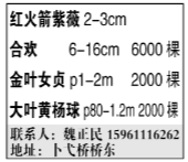 魏正民图片