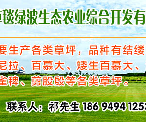 江苏草毯绿波生态农业综合开发有限公司