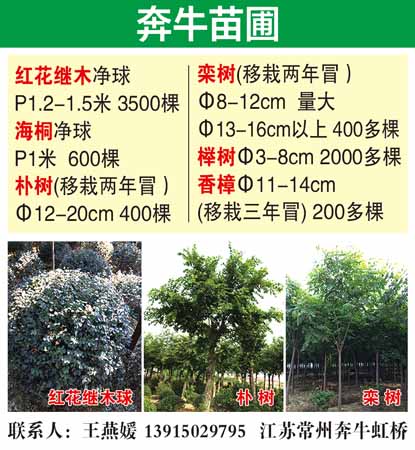 奔牛苗圃