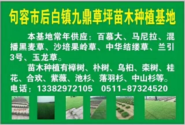 句容市九鼎草坪苗木种植基地
