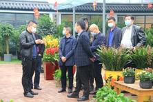 重庆市璧山区副区长敖斌率队考察夏溪花木市场