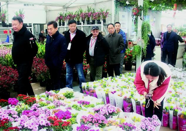 市场动态：澳门江苏联谊会回乡访问团参观考察夏溪花木市场