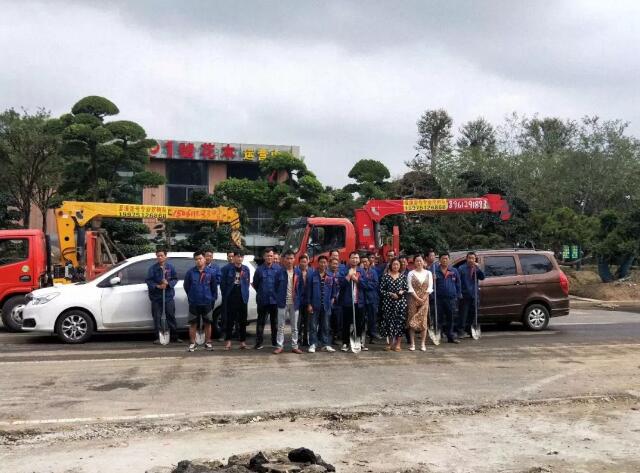 建立正规苗木劳务队伍的可能性—提前找到正确的解决途径，或许能更好地应对苗木市场的云波诡谲
