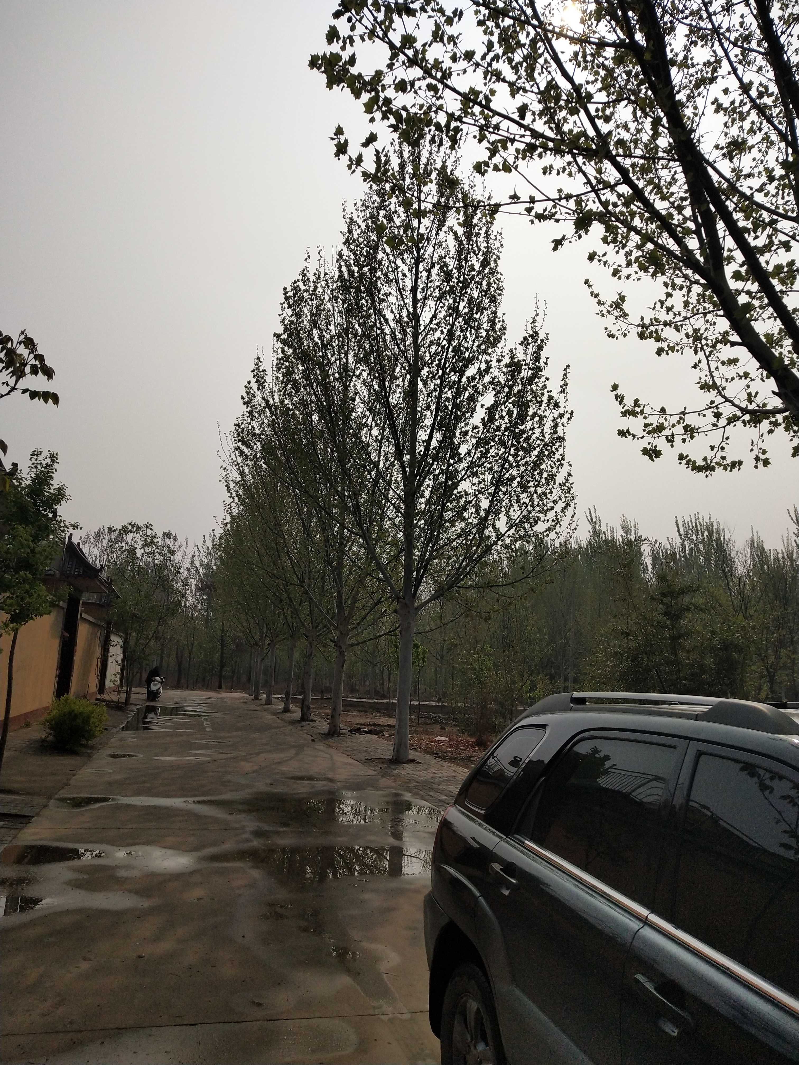 个人