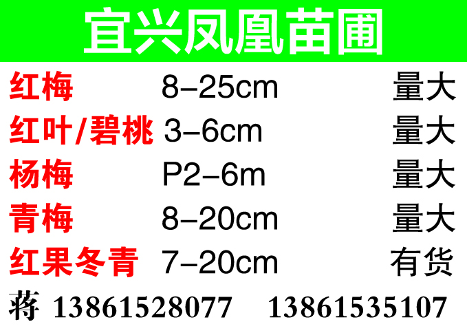 宜兴张渚凤凰苗圃