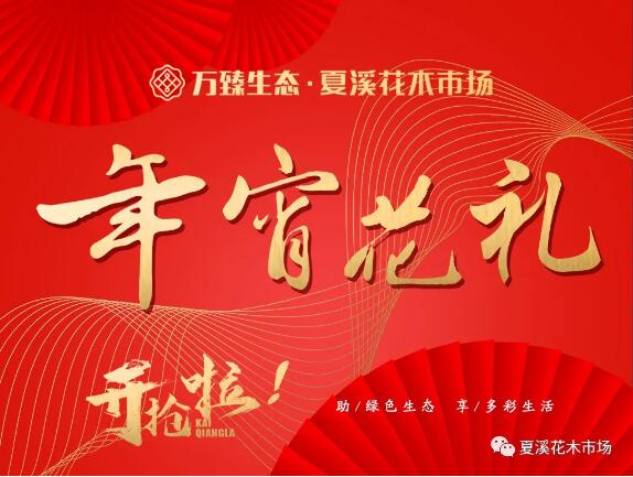 “多彩年宵花卉， 共迎牛年新春”—— 夏溪花木市场年宵花礼，今天正式开抢啦！