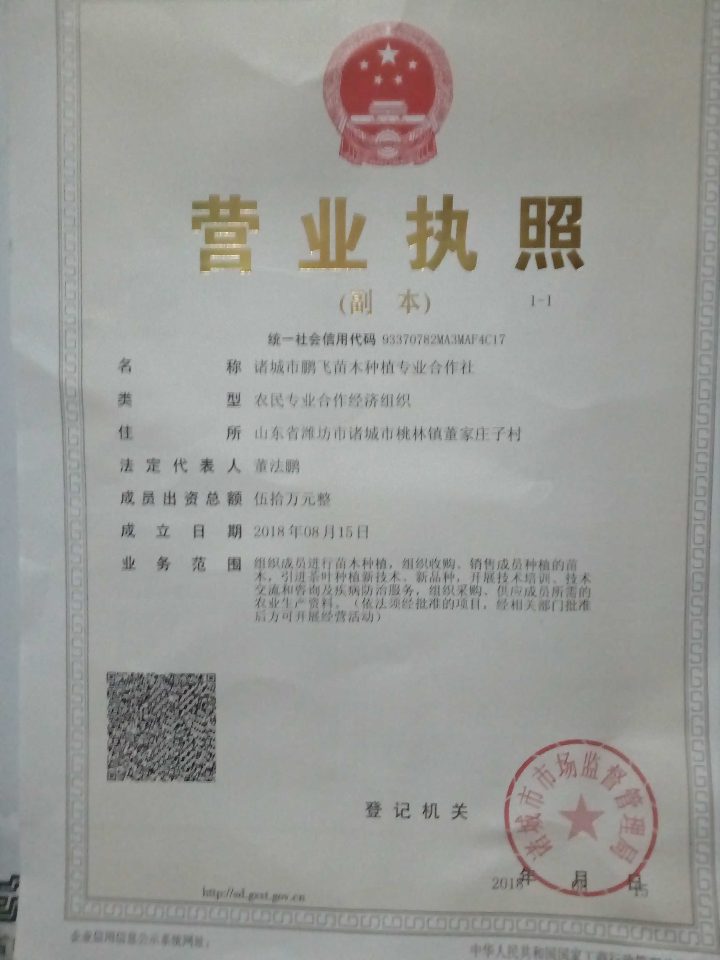 日本早樱图片