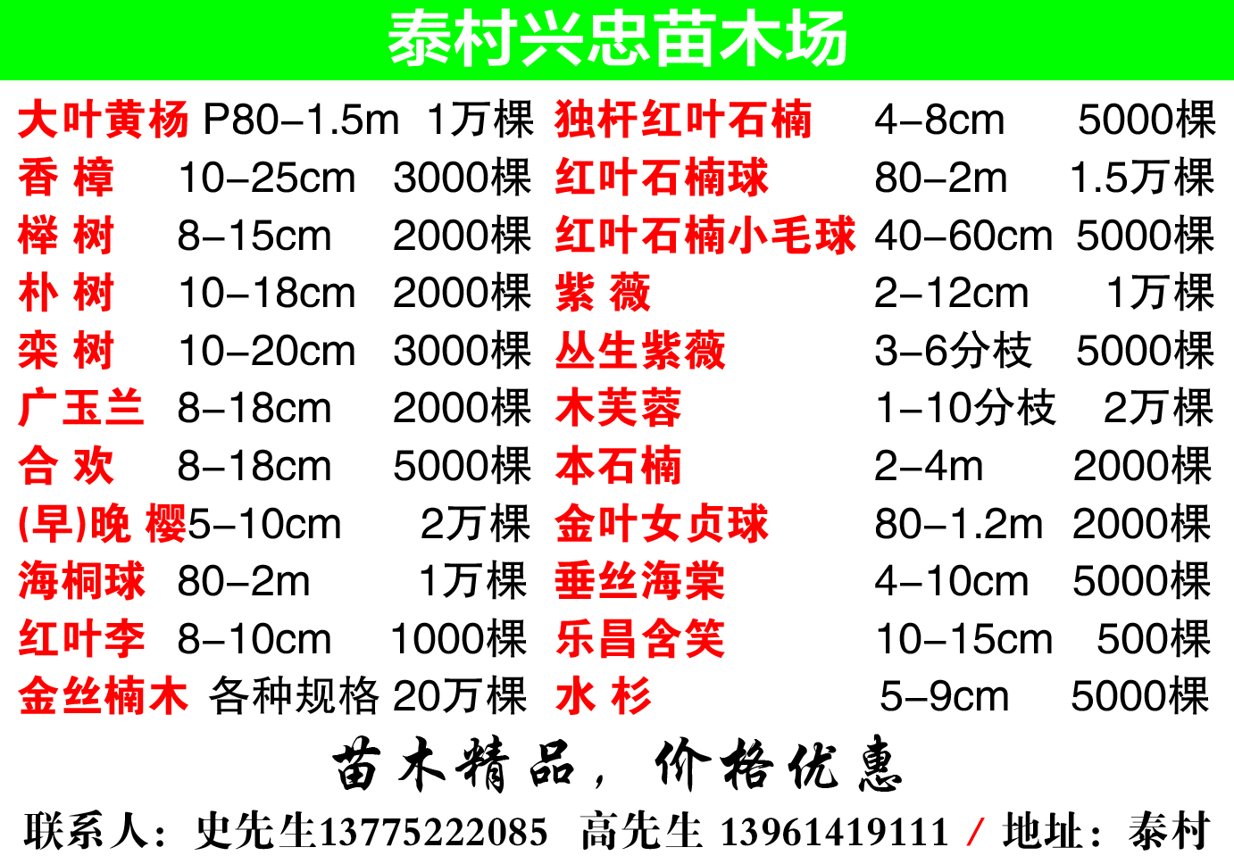 泰村兴忠苗木场图片