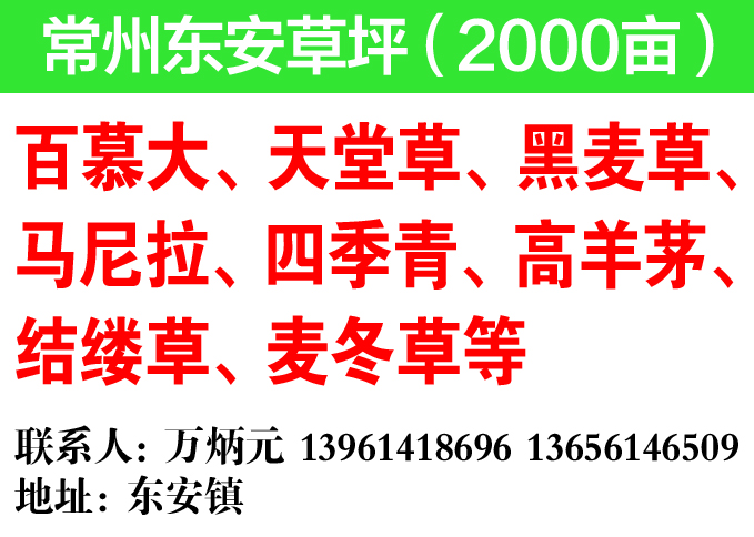 常州湟里东安镇元元草坪基地图片