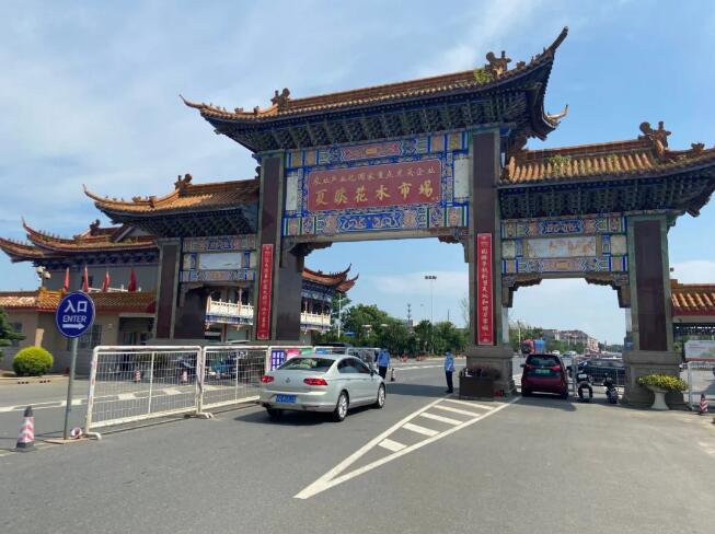 防疫不能松懈，夏溪花木市场强化防控管理
