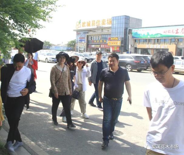 浙江省工商联园林花木商会杭州市苗木商会一行莅临夏溪花木市场考察