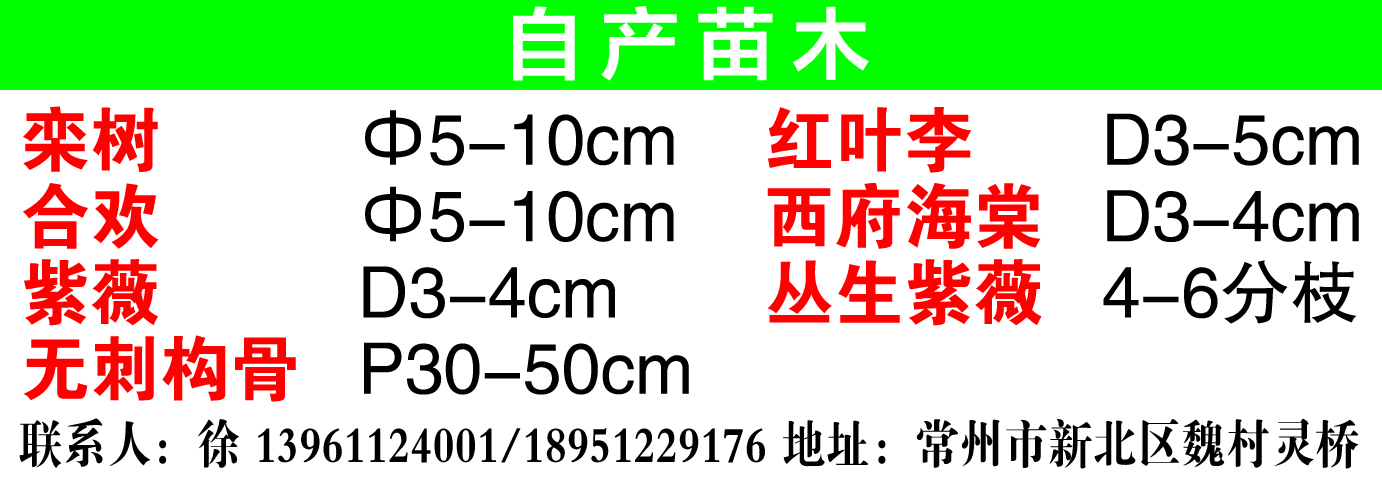 自产苗木图片