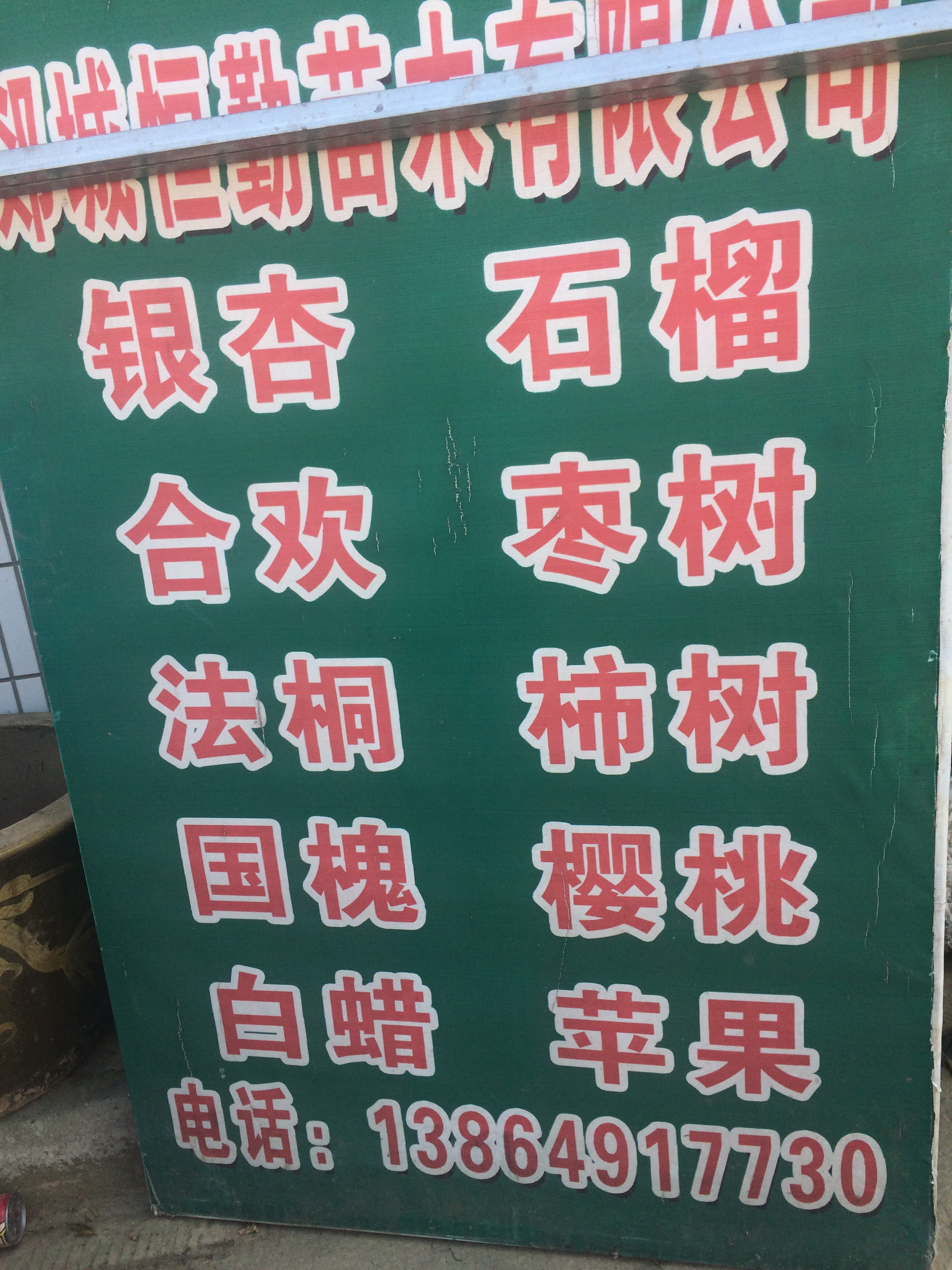 郯城恒勤苗木有限公司图片