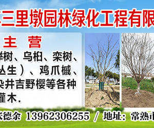 江苏三里墩园林绿化工程有限公司