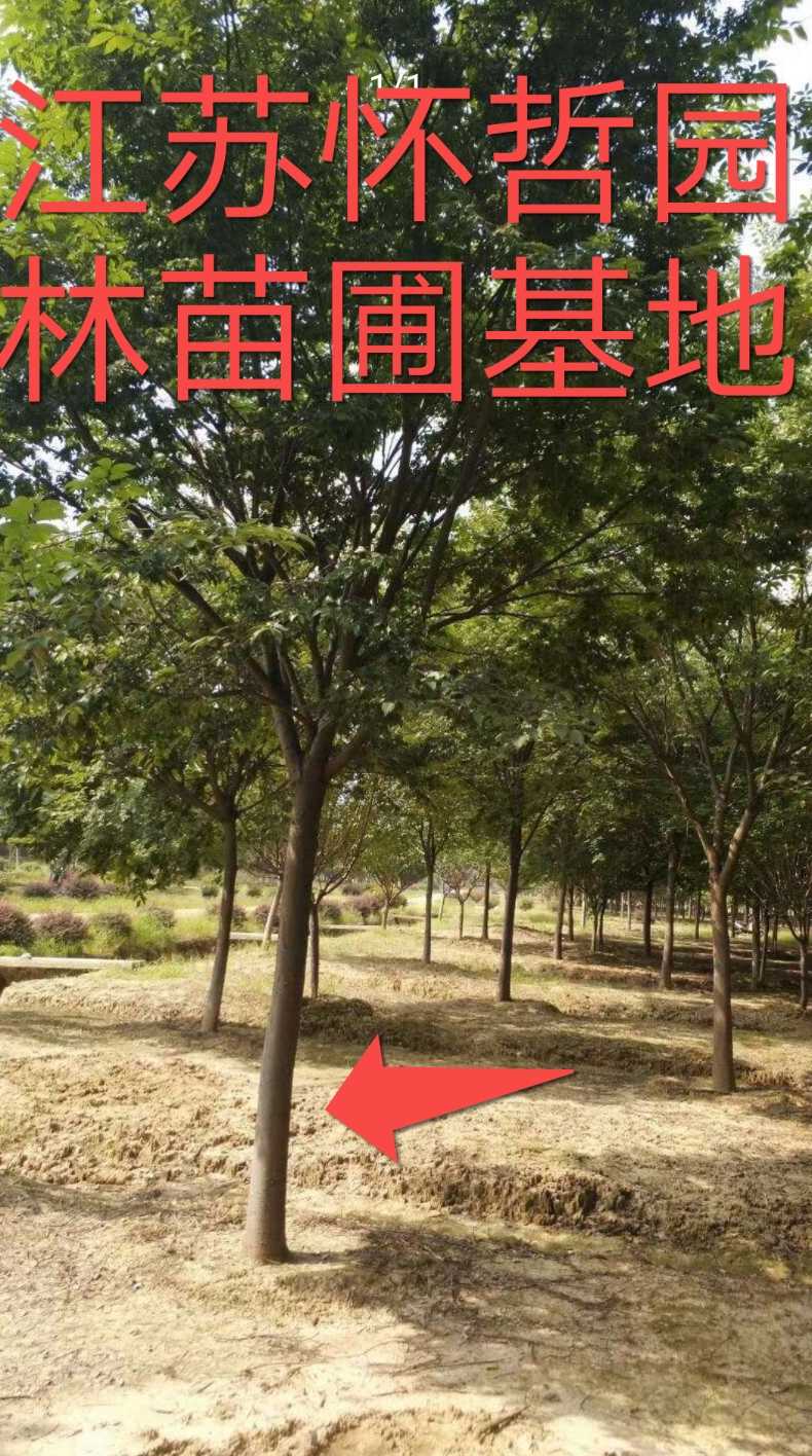 江苏怀哲园林有限公司