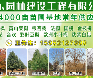 徐州市亚东园林工程有限公司
