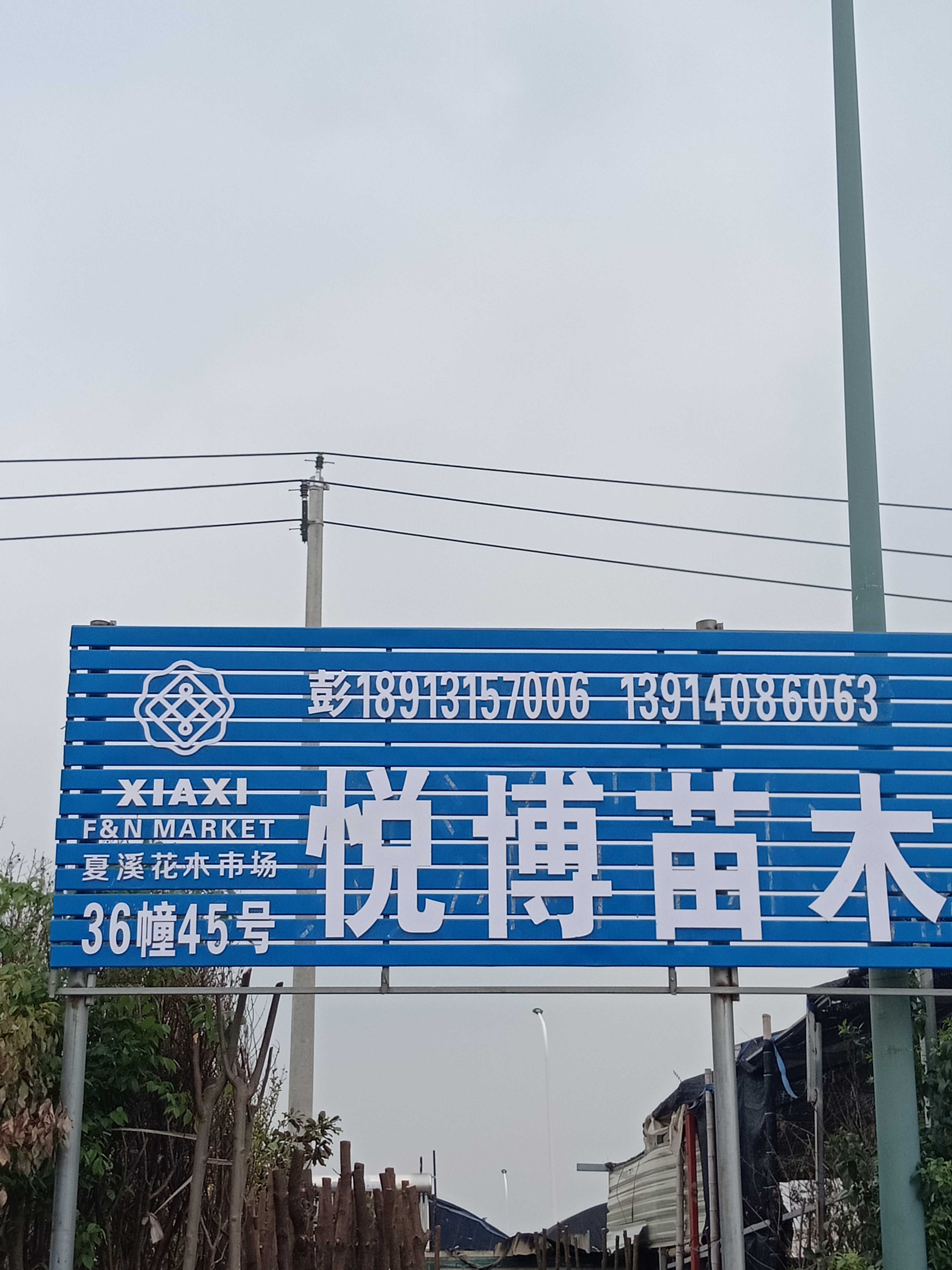 悦博苗木