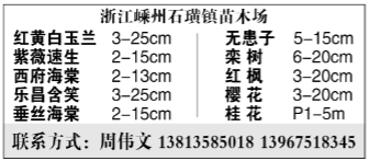 浙江嵊州石璜镇苗木场图片