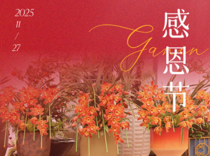 【感恩节】感恩有你，温暖相遇