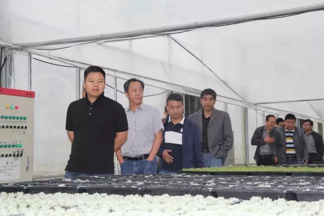 组团赴沭阳考察花木电商产业