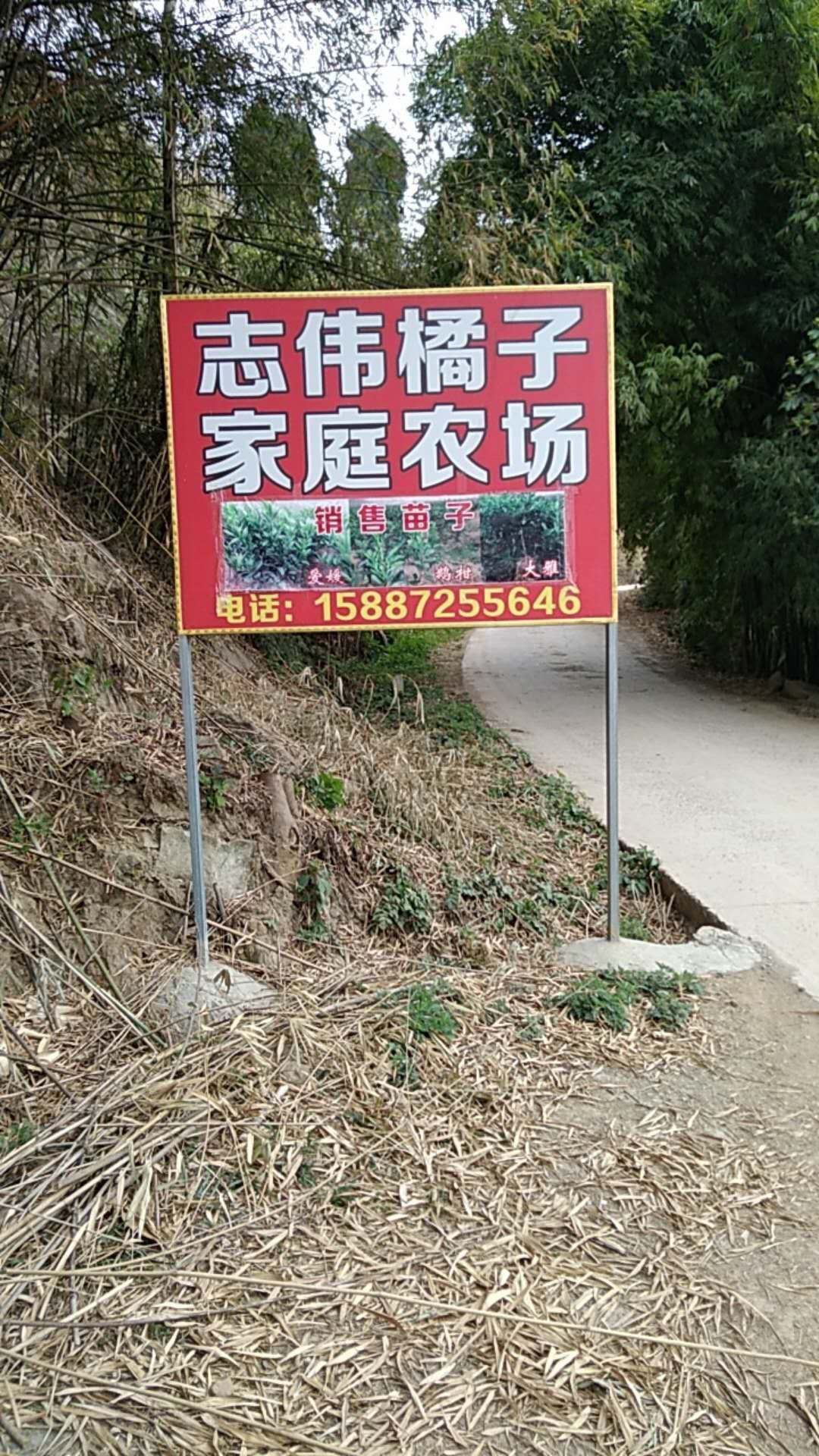 志伟农场