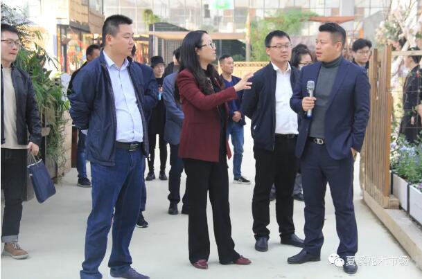 上海崇明团区委书记曹崔秀参观考察夏溪花木市场