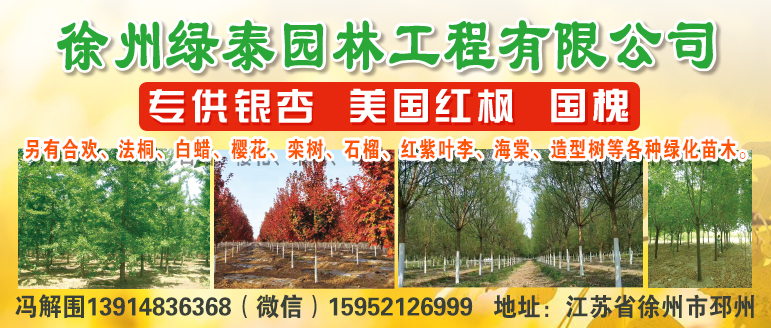 徐州市绿泰园林工程有限公司图片