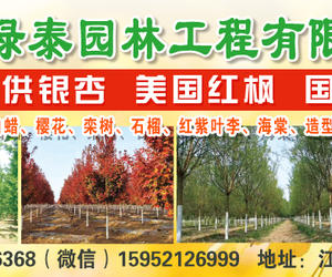 徐州市绿泰园林工程有限公司