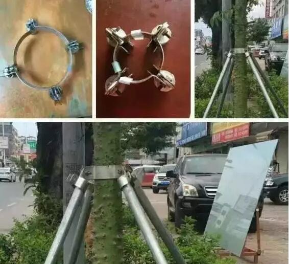 台风过后，倒伏树木的救护成为灾后园林人的重心工作，教你“山竹”过后科学减损！