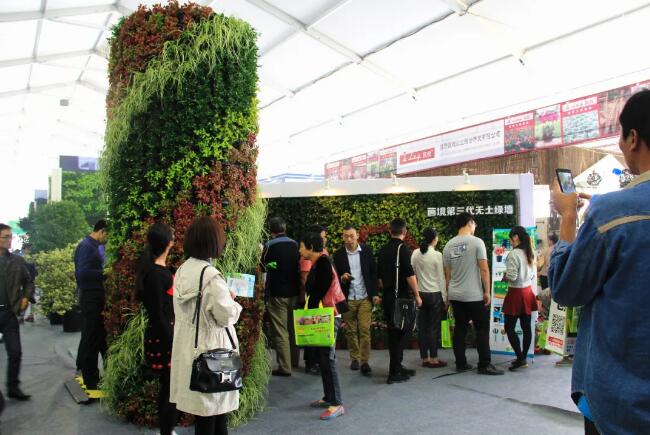 立体绿化：植物墙养护的5个技巧，轻松学会！养护也重要，如何维护？