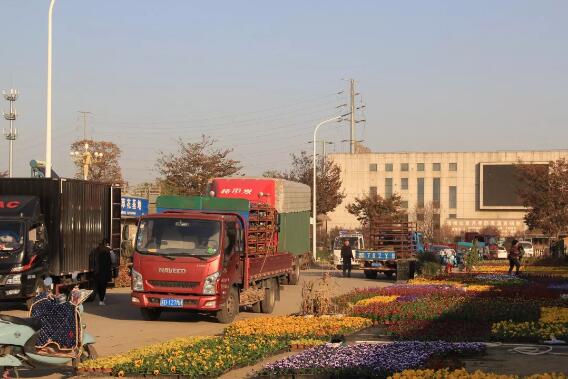 市场行情：花境植物无论是生产还是应用，已经逐步进入提质阶段