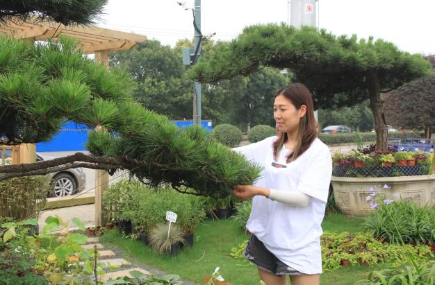 商户风采：李娜娜——求变后要落到实处