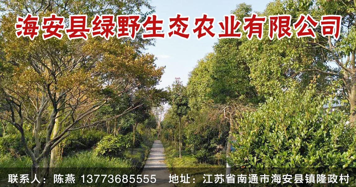 海安县绿野生态农业有限公司图片