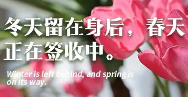 牧兰仓 | 在年宵花里，收藏四季的第一次心动