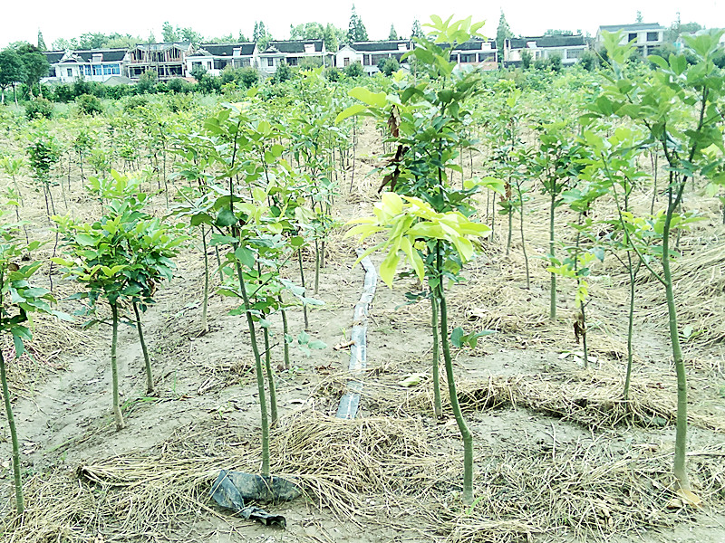 FjKNzcXhbDTOsnfyvZsgVLvBW8c3