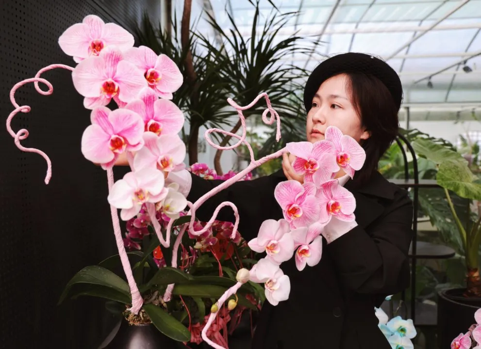 金融精英转身玩蝴蝶兰？她把“花”卷出了新高度