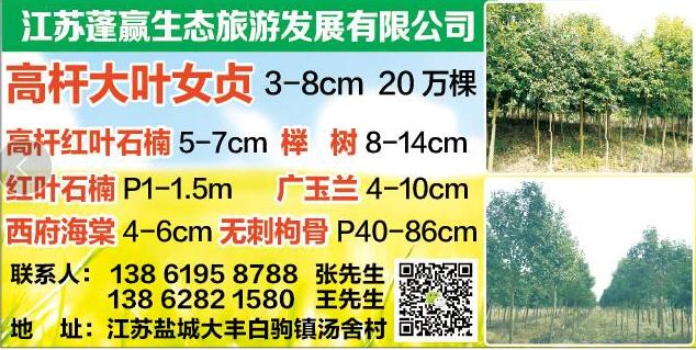 江苏蓬赢生态旅游发展有限公司图片